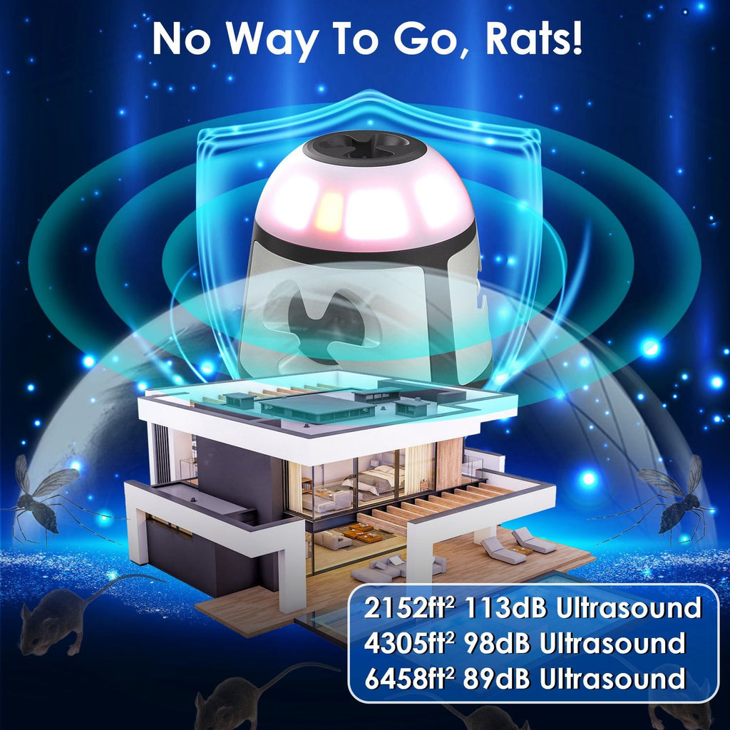 560568411