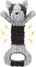 561255961